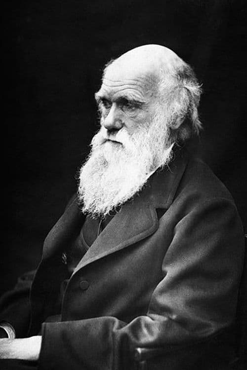 Charles Darwin and earthworms