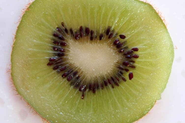 Kiwifruit Psa disease genetics