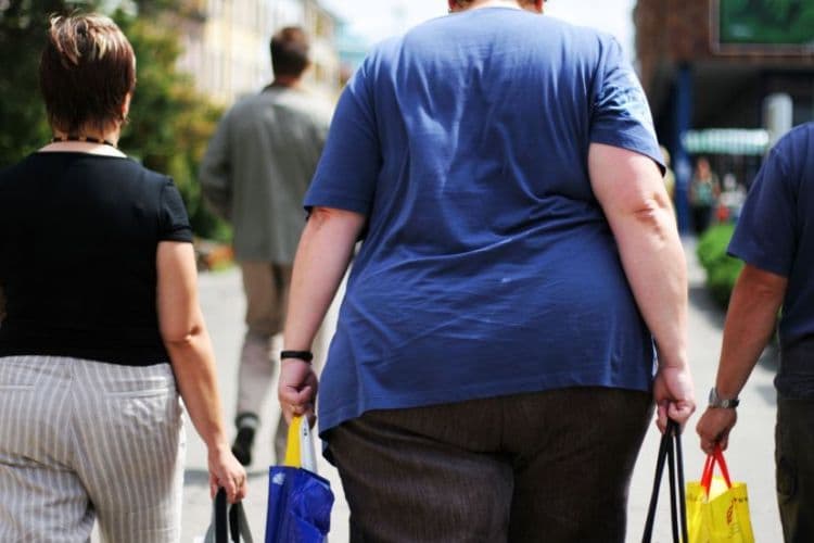 Obesity risk factors