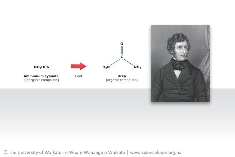 Carbon – life’s framework element