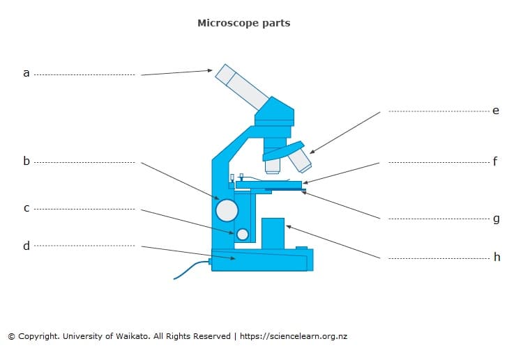 Microscope parts