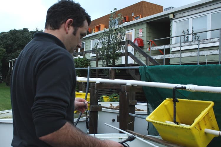 Studying sound under water