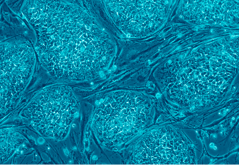 Definitions of biotechnology