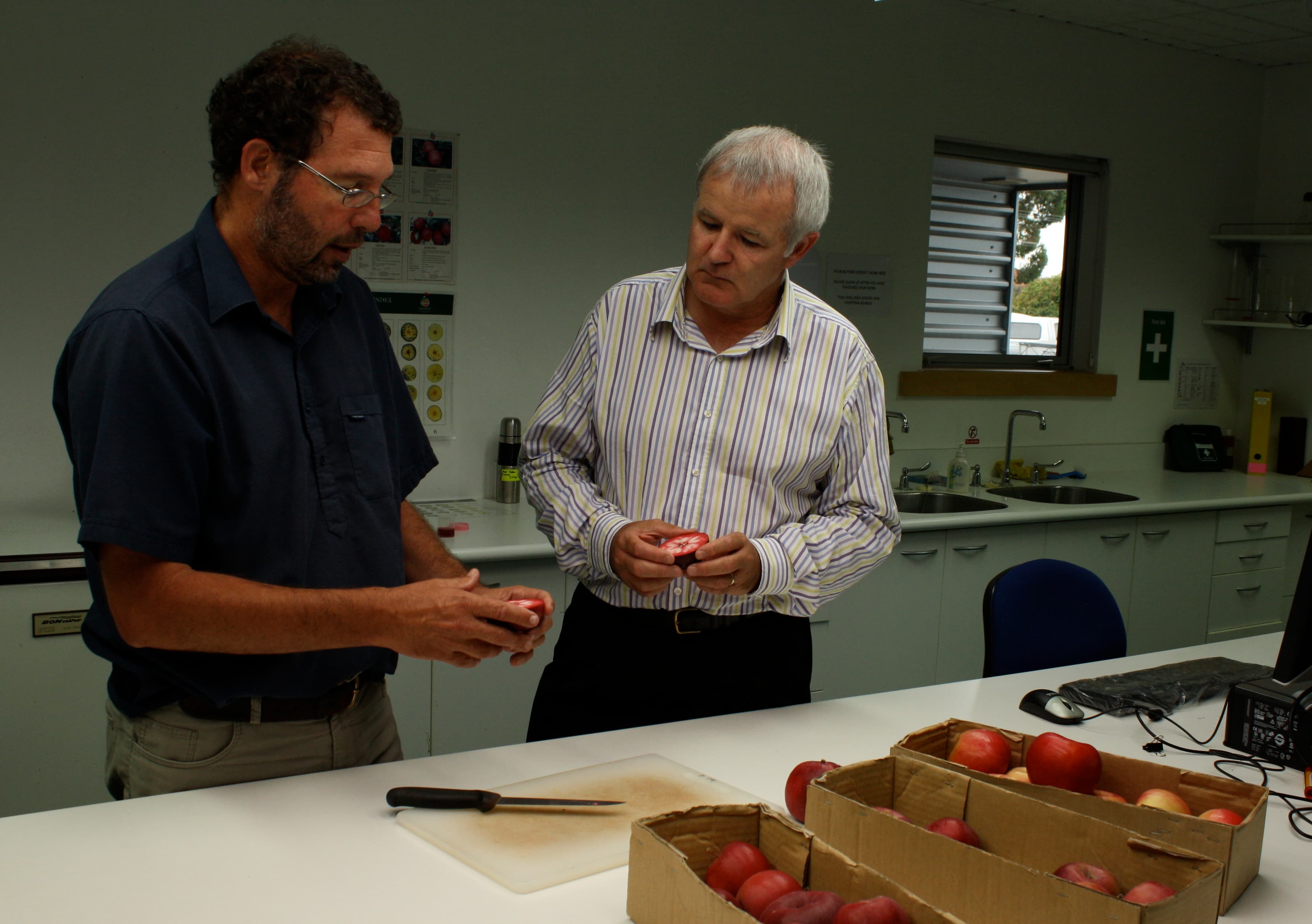 Breeding a new apple cultivar