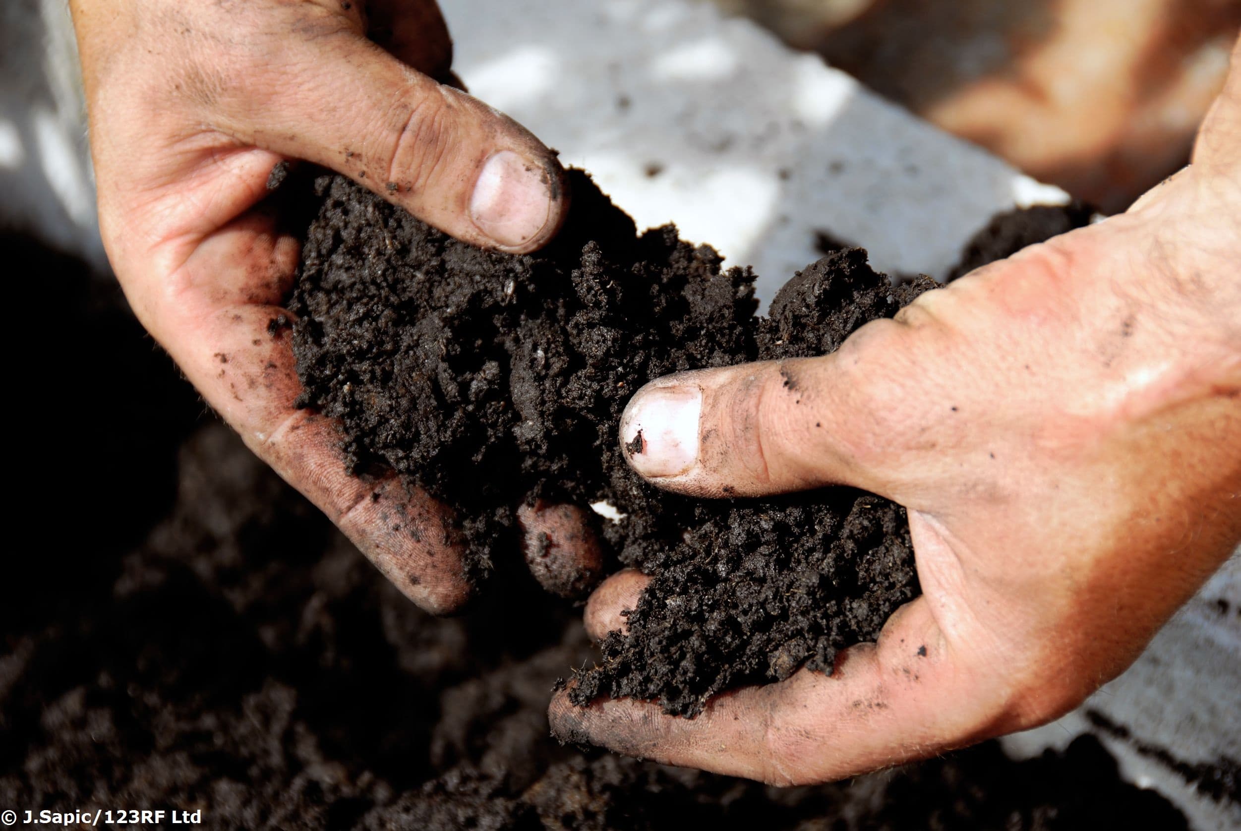 Soil, farming and science – question bank