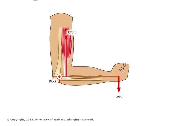 Lateral arm raise