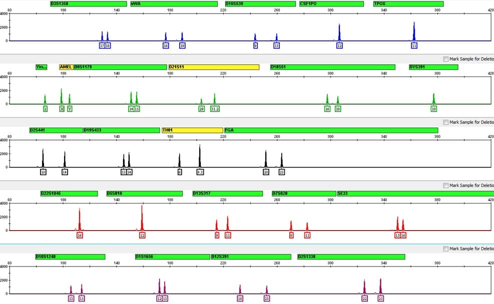 DNA profiling