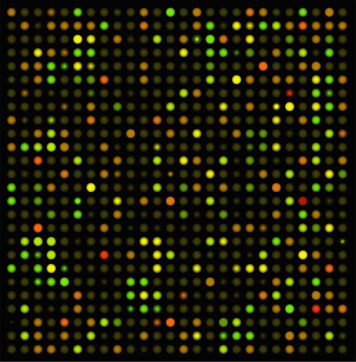 Nutrigenomics – introduction