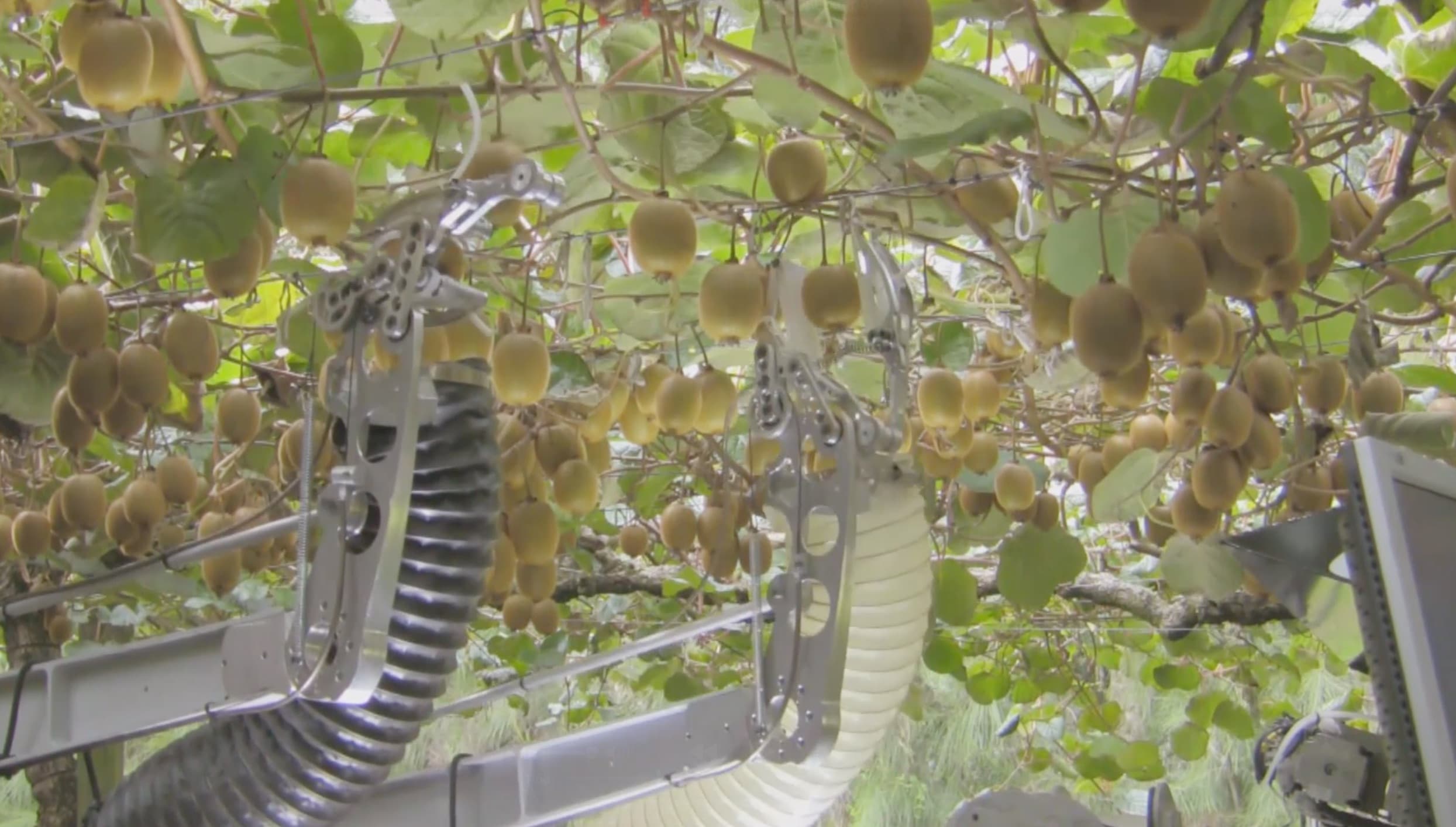 Robots for horticulture