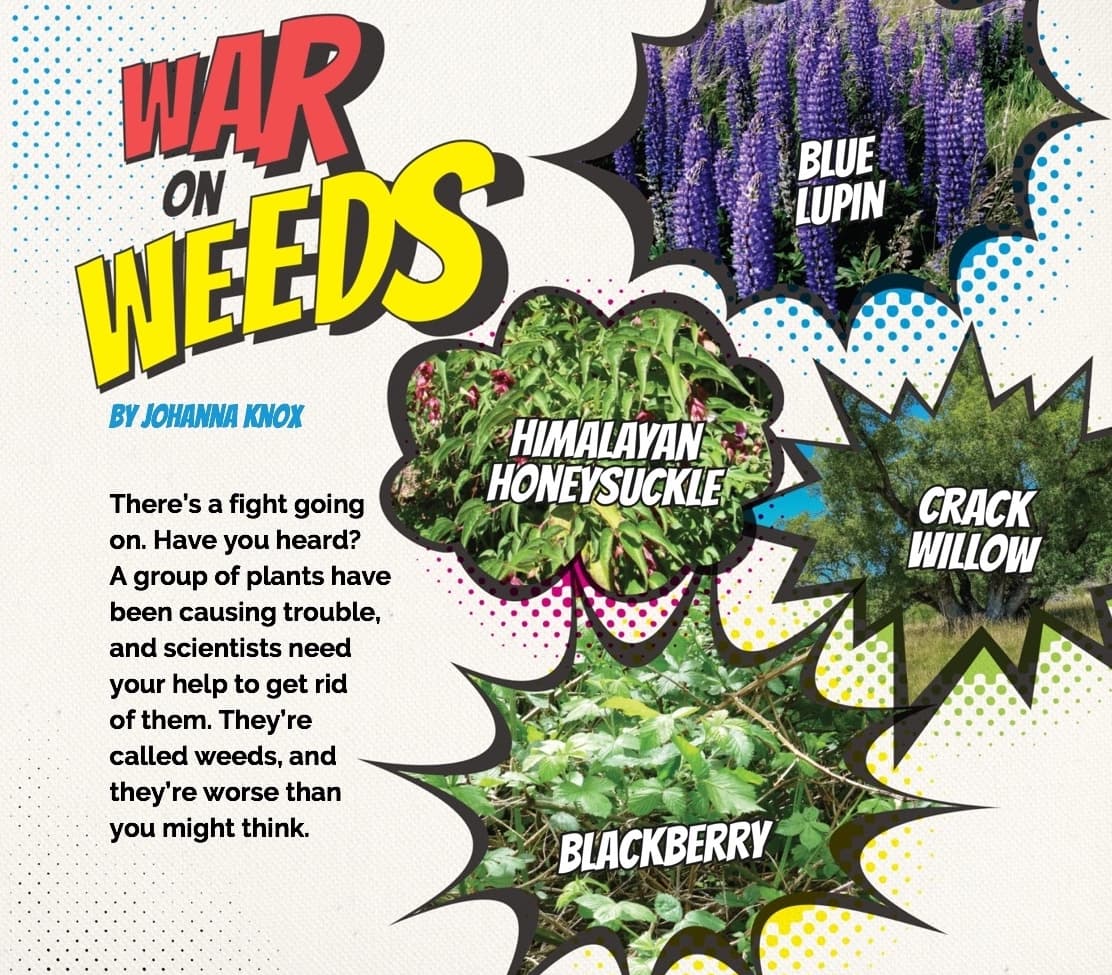 The war on weeds