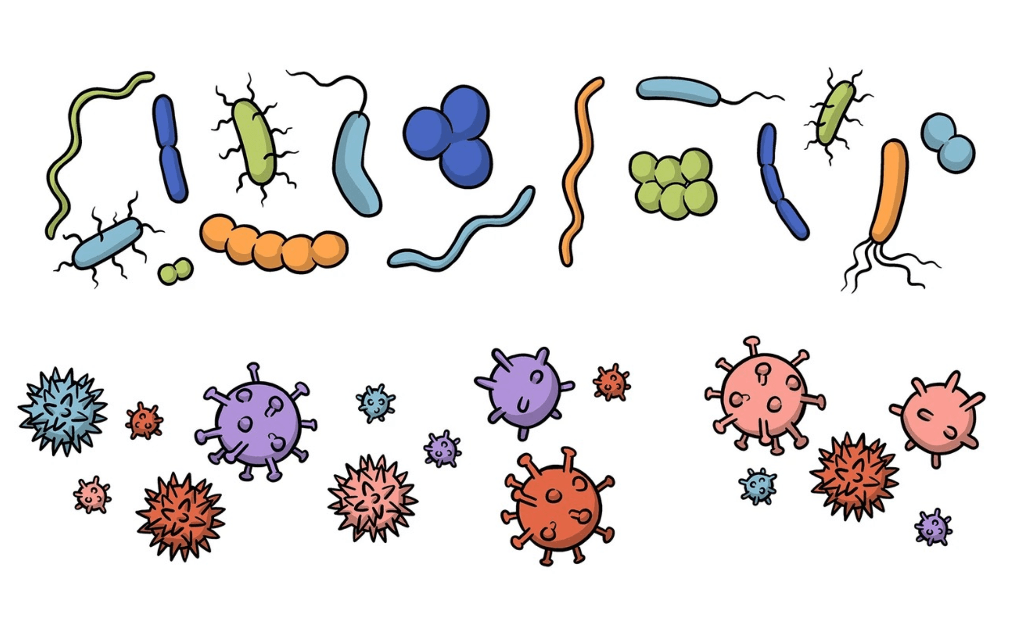 The science of superbugs – teaching antimicrobial resistance awareness in Aotearoa