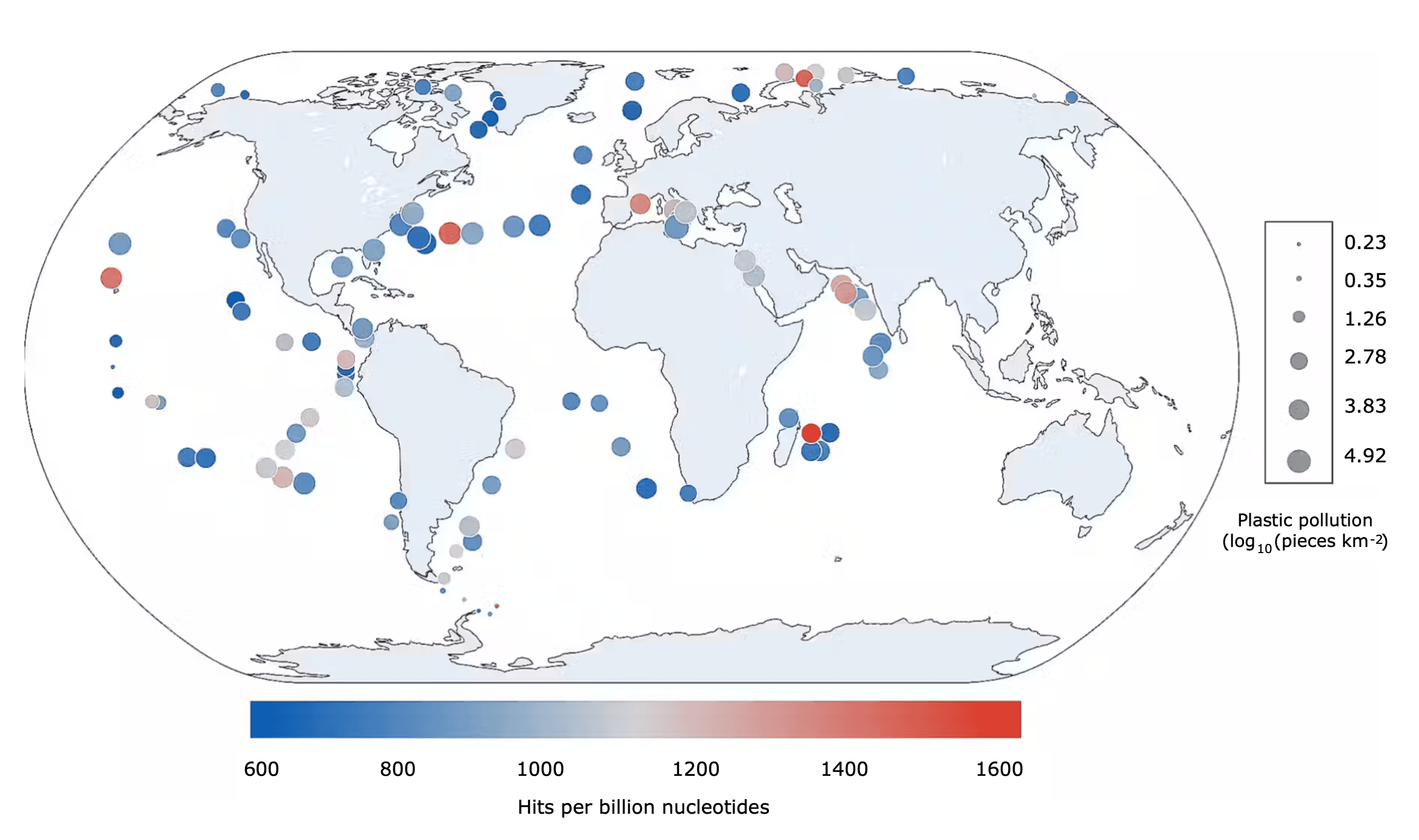 Plastic pollution and marine microbes