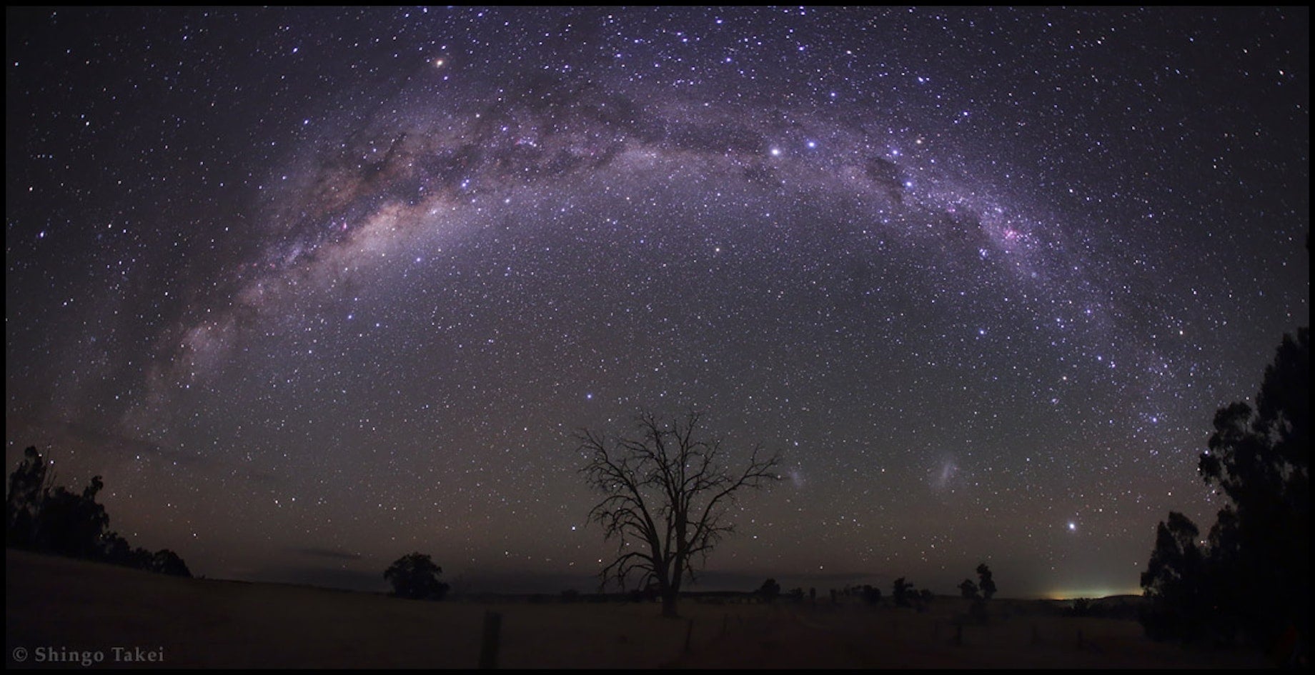 View of the milky way, with a tree silhouette in the middle